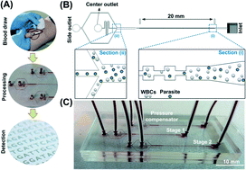 Graphical abstract: Malaria detection using inertial microfluidics