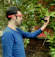 Graphical abstract: Quantification of plant chlorophyll content using Google Glass
