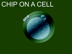 Graphical abstract: Silicon-nanowire based attachment of silicon chips for mouse embryo labelling
