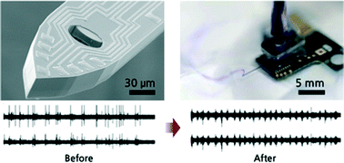 Graphical abstract: A multichannel neural probe with embedded microfluidic channels for simultaneous in vivo neural recording and drug delivery