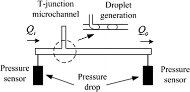 Graphical abstract: Characterization of syringe-pump-driven induced pressure fluctuations in elastic microchannels