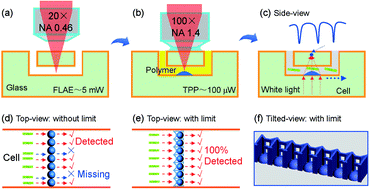Graphical abstract: Ship-in-a-bottle femtosecond laser integration of optofluidic microlens arrays with center-pass units enabling coupling-free parallel cell counting with a 100% success rate