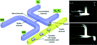 Graphical abstract: An on-demand nanofluidic concentrator