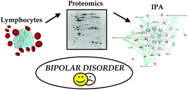 Graphical abstract: Search for peripheral biomarkers in patients affected by acutely psychotic bipolar disorder: a proteomic approach