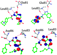 Graphical abstract: Insights into the structural basis of 3,5-diaminoindazoles as CDK2 inhibitors: prediction of binding modes and potency by QM–MM interaction, MESP and MD simulation