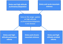 Graphical abstract: ‘Ome’ on the range: update on high-altitude acclimatization/adaptation and disease