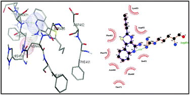 Graphical abstract: Study on the agonists for the human Toll-like receptor-8 by molecular modeling