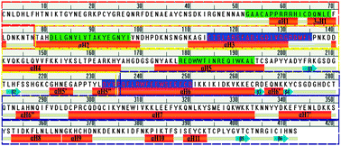 Graphical abstract: Comparative study of Plasmodium falciparum erythrocyte membrane protein 1-DBLα domain variants with respect to antigenic variations and docking interaction analysis with glycosaminoglycans