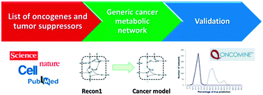 Graphical abstract: Reconstruction of a generic metabolic network model of cancer cells