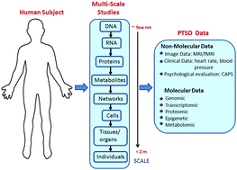 Graphical abstract: Systems biology approach to understanding post-traumatic stress disorder