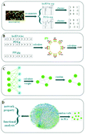 Graphical abstract: Construction of a lncRNA–PCG bipartite network and identification of cancer-related lncRNAs: a case study in prostate cancer
