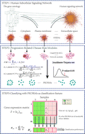 Graphical abstract: Identifying progression related disease risk modules based on the human subcellular signaling networks
