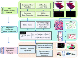 Graphical abstract: Compound signature detection on LINCS L1000 big data