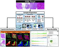 Graphical abstract: A MALDI-Mass Spectrometry Imaging method applicable to different formalin-fixed paraffin-embedded human tissues