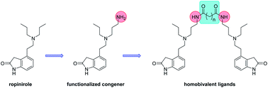Graphical abstract: Investigation of novel ropinirole analogues: synthesis, pharmacological evaluation and computational analysis of dopamine D2 receptor functionalized congeners and homobivalent ligands