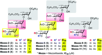 Graphical abstract: Structure activity relationship study of mezzettiasides natural products and their four new disaccharide analogues for anticancer/antibacterial activity