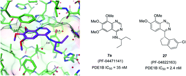 Graphical abstract: Small-molecule phosphodiesterase probes: discovery of potent and selective CNS-penetrable quinazoline inhibitors of PDE1