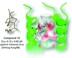 Graphical abstract: Identification of camphor derivatives as novel M2 ion channel inhibitors of influenza A virus