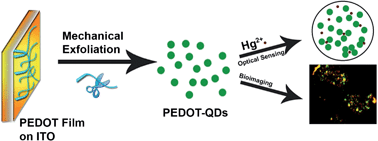 Graphical abstract: Fluorescent quantum dots derived from PEDOT and their applications in optical imaging and sensing