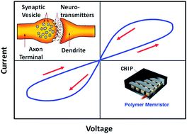 Graphical abstract: Polymer memristor for information storage and neuromorphic applications