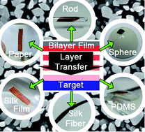 Graphical abstract: Silk/molecular conductor bilayer thin-films: properties and sensing functions