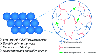 Graphical abstract: Monodisperse functional microspheres from step-growth “click” polymerizations: preparation, functionalization and implementation