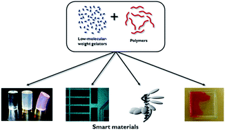 Graphical abstract: Expanding the scope of gels – combining polymers with low-molecular-weight gelators to yield modified self-assembling smart materials with high-tech applications