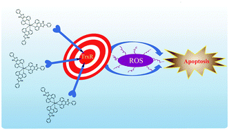 Graphical abstract: Ruthenium polypyridyl complexes as inducer of ROS-mediated apoptosis in cancer cells by targeting thioredoxin reductase