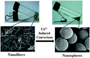 Graphical abstract: Self-assembly of novel benzimidazole N-glycosylamines into nanofibers and nanospheres
