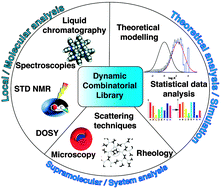 Graphical abstract: Experimental and theoretical methods for the analyses of dynamic combinatorial libraries