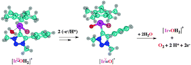 Graphical abstract: Density functional theory calculations of catalytic mechanistic pathways for the formation of O2 involving triazolylidene iridium complexes