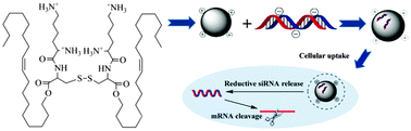 Graphical abstract: A novel gemini-like cationic lipid for the efficient delivery of siRNA