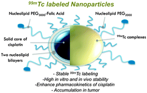 Graphical abstract: Nucleolipids as building blocks for the synthesis of 99mTc-labeled nanoparticles functionalized with folic acid