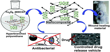 Graphical abstract: Biophysico-chemical interfacial attributes of Fe3O4 decorated MWCNT nanohybrid/bio-based hyperbranched polyurethane nanocomposite: an antibacterial wound healing material with controlled drug release potential