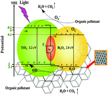 Graphical abstract: Synthesis of three-dimensionally ordered macroporous composite Ag/Bi2O3–TiO2 by dual templates and its photocatalytic activities for degradation of organic pollutants under multiple modes