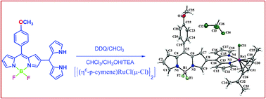 Graphical abstract: Synthesis, X-ray structure, spectral and electrochemical properties of a β-meso covalently linked BODIPY–Ru(ii) dipyrrin complex