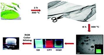 Graphical abstract: Plant leaf-derived graphene quantum dots and applications for white LEDs