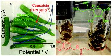 Graphical abstract: Extraction and electrochemical detection of capsaicin and ascorbic acid from fresh chilli using ionic liquids