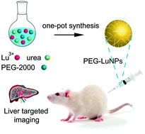 Graphical abstract: Large-scale synthesis of PEGylated lutetium hydroxycarbonates as nanoparticulate contrast agents for X-ray CT imaging
