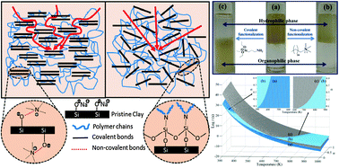 Graphical abstract: Enhanced thermal stability and lifetime of epoxy nanocomposites using covalently functionalized clay: experimental and modelling