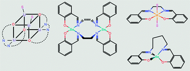 Graphical abstract: Tetradentate Schiff base beryllium complexes