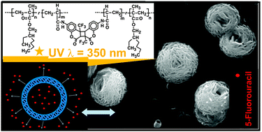 Graphical abstract: Nanocapsules for 5-fluorouracil delivery decorated with a poly(2-ethylhexyl methacrylate-co-7-(4-trifluoromethyl)coumarin acrylamide) cross-linked wall
