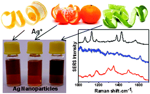 Graphical abstract: Silver nanoparticles: green synthesis, self-assembled nanostructures and their application as SERS substrates