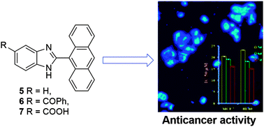 Graphical abstract: Synthesis, DNA interaction and anticancer activity of 2-anthryl substituted benzimidazole derivatives