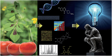 Graphical abstract: Modern plant metabolomics: advanced natural product gene discoveries, improved technologies, and future prospects