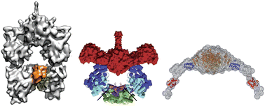Graphical abstract: Uncovering the structures of modular polyketide synthases