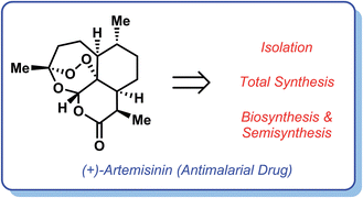 Graphical abstract: Synthetic chemistry fuels interdisciplinary approaches to the production of artemisinin