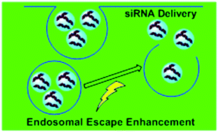 Graphical abstract: Enhancing endosomal escape for nanoparticle mediated siRNA delivery