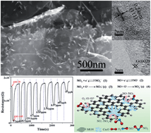 Graphical abstract: Facile synthesis of novel 3D nanoflower-like CuxO/multilayer graphene composites for room temperature NOx gas sensor application