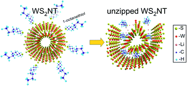 Graphical abstract: Theoretical aspects of WS2 nanotube chemical unzipping